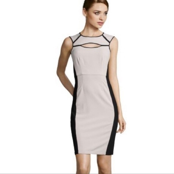 BCBGMaxaria Kelsee Pale Grey and Black Colorblock Cut- out Dress Sz 2 - Picture 2 of 5